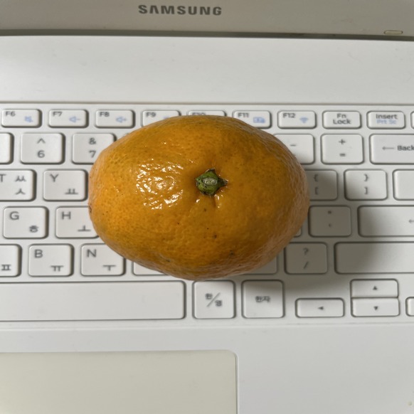 test1